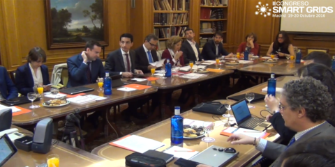 III Congreso Smart Grids, 1ª Reunión Comité Técnico