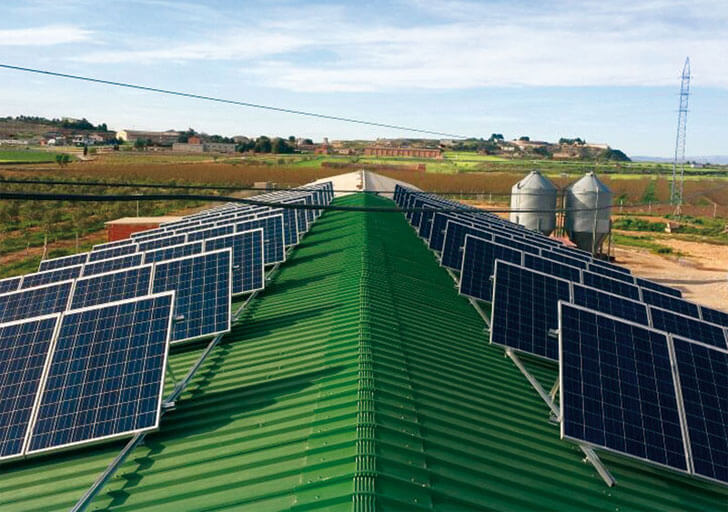 Instalación fotovoltaica en una granja de pollos.