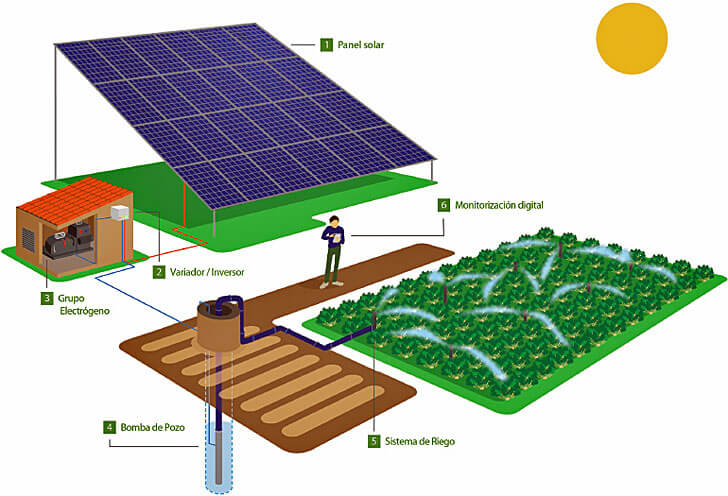 Smart Solar en empresas agrícolas