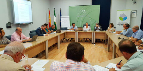 Arranca en Andalucía un proyecto europeo para desarrollar smart grids