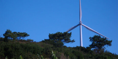 GNF gana su primer contrato de generación eléctrica en Chile