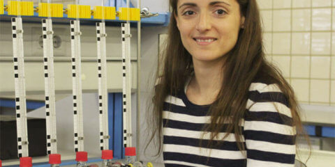 La frecuencia de la radiación determina el diseño de plantas solares