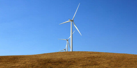 El Gobierno de Canarias autoriza la ejecución de seis parques eólicos