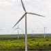 Gas Natural Fenosa se adjudica su primer parque eólico en Australia