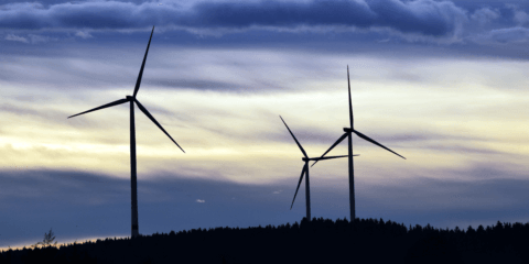 Las renovables podrían perder 1.238 millones de euros por mala estimación del precio del mercado eléctrico, según APPA