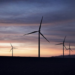 Enel pone en marcha un parque eólico de 112 MW en Chile