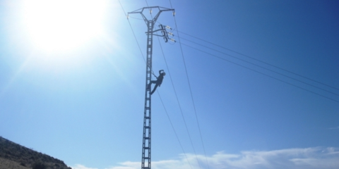Iberdrola revisa la seguridad del suministro comprobando más de 53.000 kilómetros de líneas eléctricas