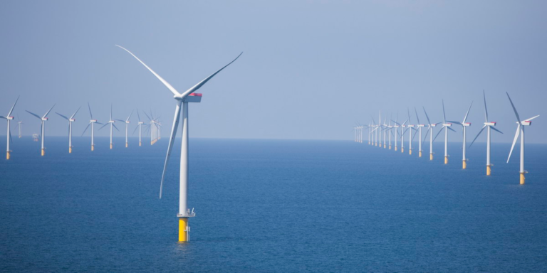 Parque eólico offshore en aguas europeas.