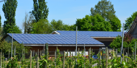 Fenie asegura que el autoconsumo es un beneficio para la economía de España