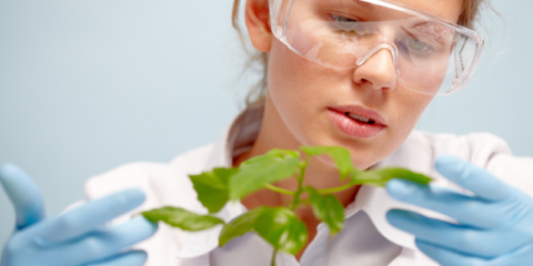 Becas Iberdrola para formación en energía en España y Reino Unido