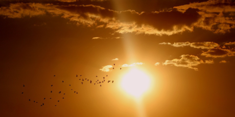 Nuevos productos Energéticos Digitales focalizados en la Energía Solar