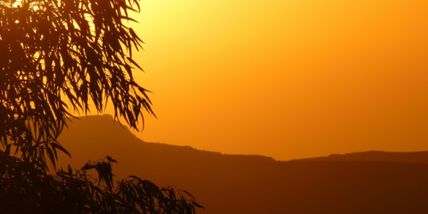 Una empresa española reúne 180 millones de euros para construir dos proyectos fotovotaicos en Jordania