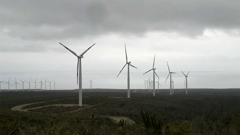 Parque eólico Canela I en Chile. 