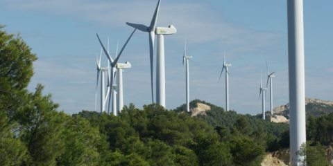 Los parques eólicos españoles producen el 44,5% de la demanda eléctrica del país