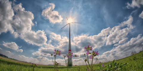 La próxima subasta de energía renovable se celebra el 17 de mayo