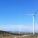 El Gobierno adjudica más de 2.900 MW a las instalaciones eólicas
