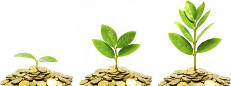 Brotes verdes creciendo del interior de montones de moneda en representación de la financiación en proyectos sostenibles. 