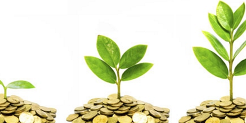 Brotes verdes creciendo del interior de montones de moneda en representación de la financiación en proyectos sostenibles.