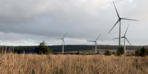 Gas Natural Fenosa construirá 200 MW de energía eólica en Castilla y León