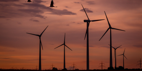 REE autoriza la creación de una zona de regulación exclusivamente eólica