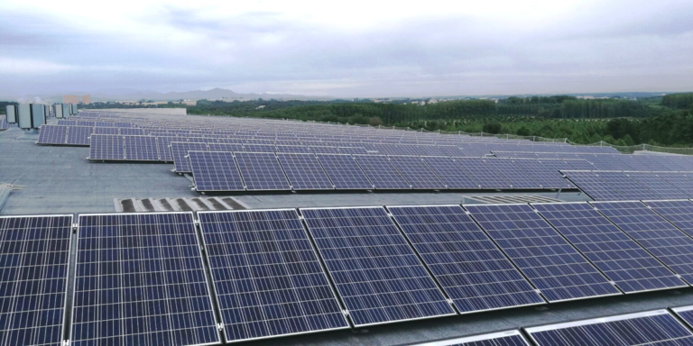 Frit Ravich tiene una nueva planta fotovoltaica diseñada por Endesa.