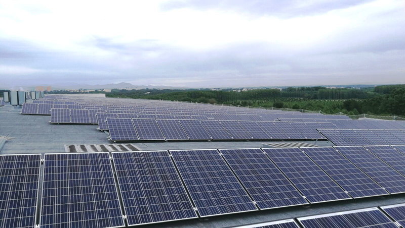 Frit Ravich tiene una nueva planta fotovoltaica diseñada por Endesa. 