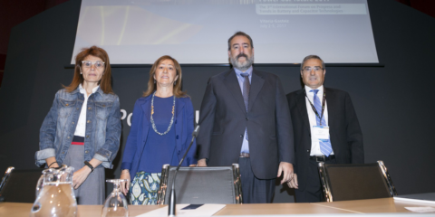 Vitoria-Gasteiz reúne a investigadores de 8 países para analizar las novedades sobre el Almacenamiento de Energía