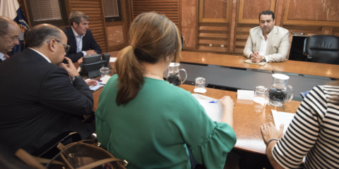 El Comité de Inversiones y Proyectos Estratégicos propone siete proyectos de Energías limpias para Canarias