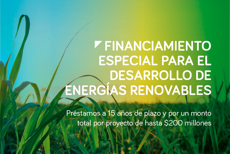 El BICE otorgará préstamos por USD 200 millones a empresas que tengan proyectos de energías renovables adjudicados a través del Programa RenovAR. 