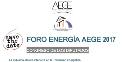 El Foro Energía AEGE 2017 analiza el papel de la industria electro-intensiva en la transición energética