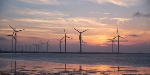 Canarias proyecta multiplicar por cinco la electricidad de origen renovable en 2025