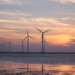 Canarias proyecta multiplicar por cinco la electricidad de origen renovable en 2025