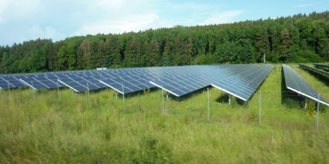 El número de plantas fotovoltaicas podría triplicarse, según un estudio de Mercator Research Institute