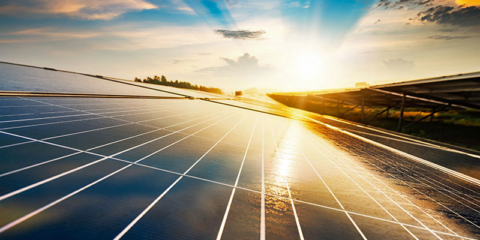 La energía solar fotovoltaica creció un 50% en el último año, según la IEA