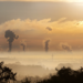 IIDMA pide una Ley de Cambio Climático que reduzca las emisiones en un 40% en 2030