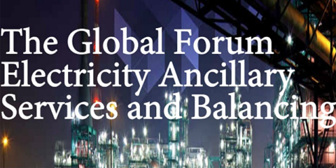 El proyecto europeo con participación española SmartNet presenta sus logros en Berlín