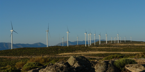 Endesa formaliza los 29 Proyectos Eólicos para construir 540 MW asociados a la subasta de mayo