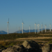 Endesa formaliza los 29 Proyectos Eólicos para construir 540 MW asociados a la subasta de mayo