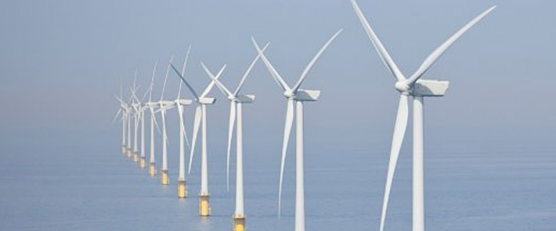 Las empresas participantes proponen aplicar proyectos de innovación en la generación de energía eólica marina en Países Bajos.