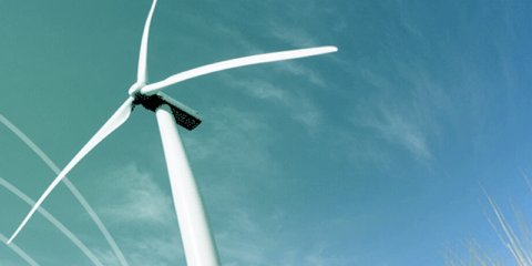 El CEEC considera la necesidad de realizar reformas para alcanzar una economía descarbonizada