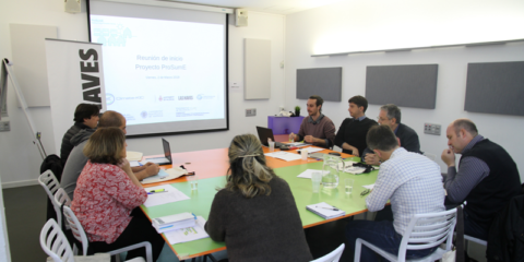 El proyecto ProSumE quiere convertir a Valencia en referente en autoconsumo fotovoltaico