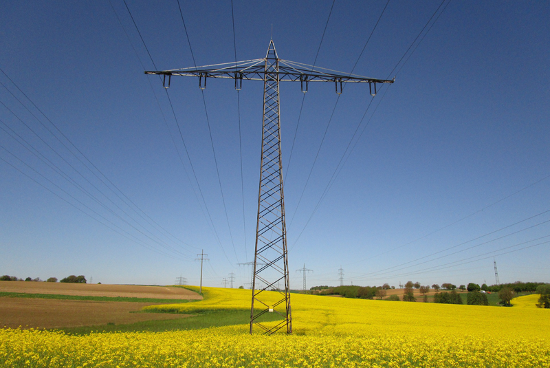 Tendido eléctrico en el campo. 