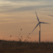 Siemens Gamesa suministra aerogeneradores para los parques eólicos de Gas Natural Fenosa en España