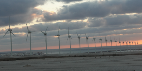 El VII Premio Eolo a la Integración Rural recae en la Mancomunidad del Sureste de Gran Canaria