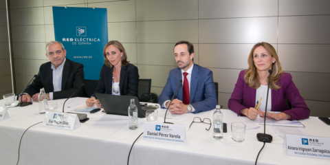 Red Eléctrica de España invierte 434 millones de euros en el Plan Eólico de Canarias