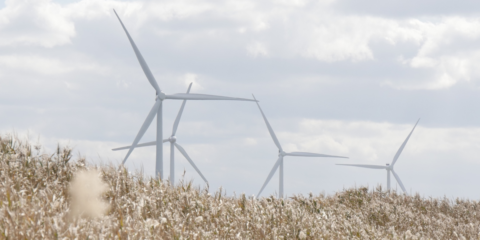 Siemens Gamesa suministrará 22 aerogeneradores para dos proyectos eólicos en Japón