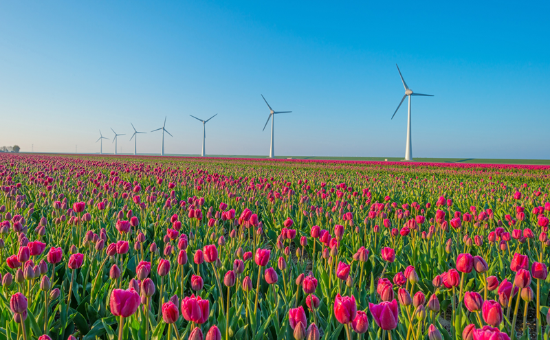 Imagen de paisaje de Holanda