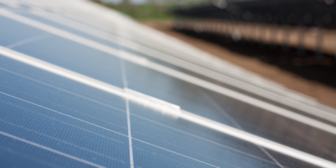 Alcalá de Guadaira da luz verde a la construcción en su término municipal de la planta fotovoltaica Don Rodrigo