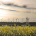 Casi la mitad de la potencia eléctrica instalada en España en 2030 podría ser renovable no hidráulica