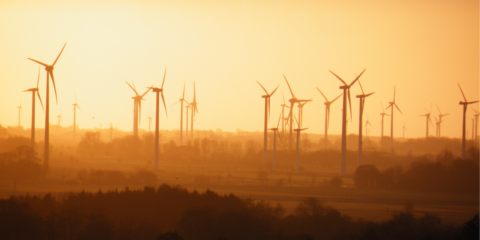 El 9 de octubre se celebra en Madrid la jornada internacional sobre extensión de vida de parque eólicos